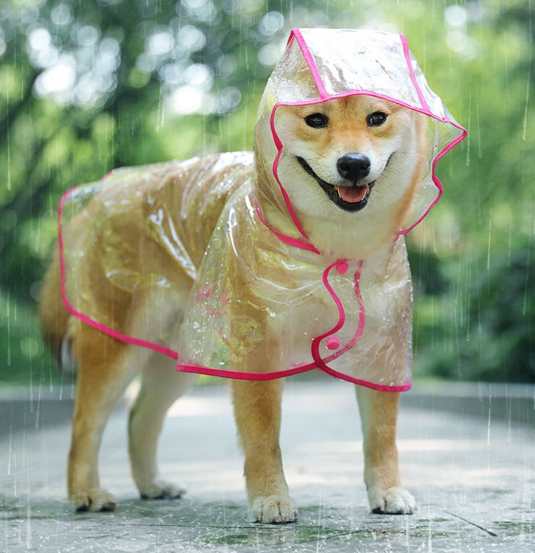 2025夏服新作ペット服 子犬用レインコート 透明 小型犬  XS-2XL 直送
