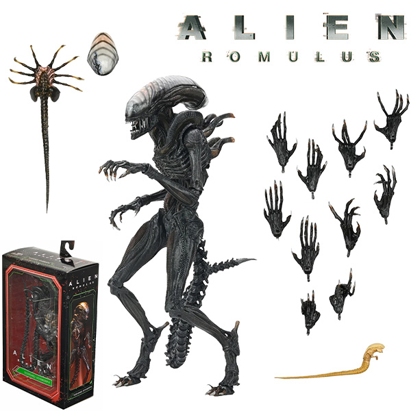 エイリアン ロムルス 7