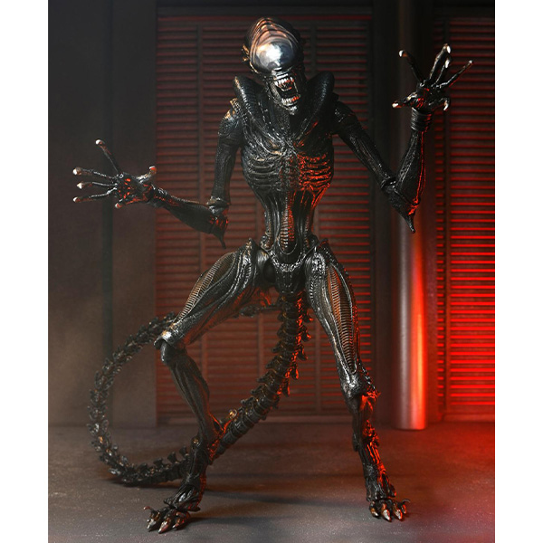 エイリアン ロムルス 7