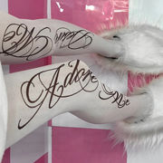 ストッキング レディース 英字 ロゴ プリント パンスト 柄タイツ 甘辛MIX JK 学生 原宿系