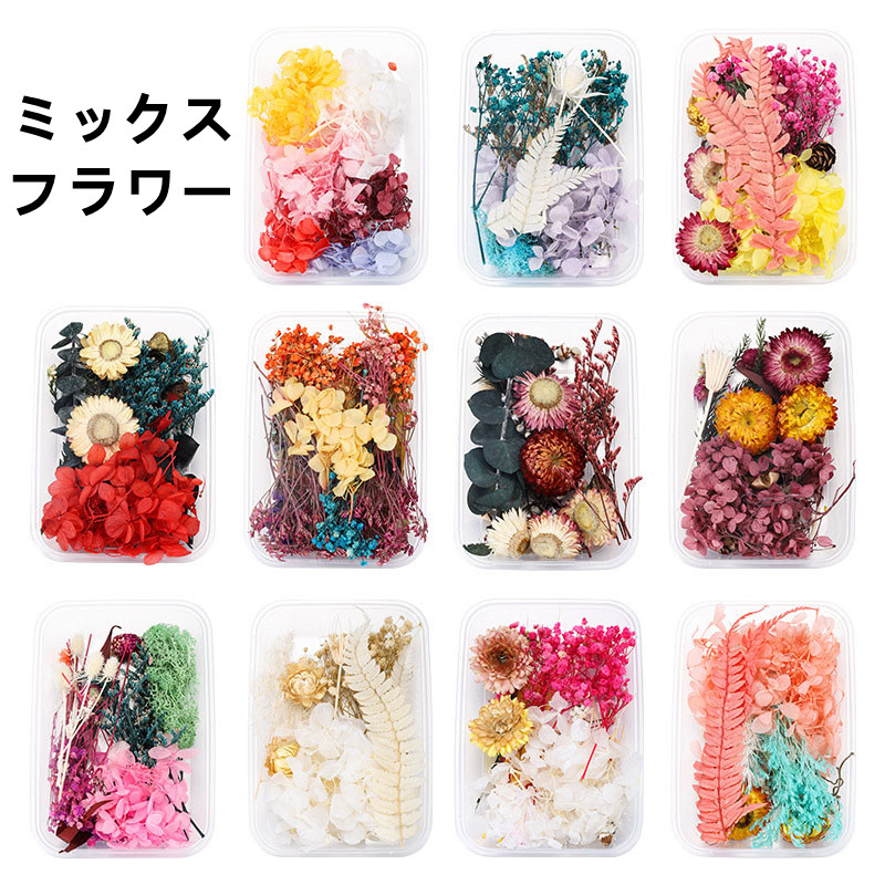 ドライフラワー レジン アクセサリーパーツ MIX ハーバリウム スターフラワー 花素材 ヘリクリサム 小花