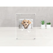 うちの子記念日　アクリルたてがた（お仕立券）