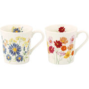 日比谷花壇 花言葉 ペアマグセット（孔雀草・コスモス） HBK13/14-13