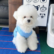 犬猫兼用 薄手メッシュベスト 涼しく着られる春夏カジュアル服　直送