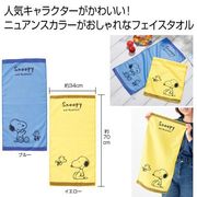 ファミリーキャラクター　ニュアンスカラーフェイスタオル１枚