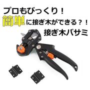 接ぎ木の達人