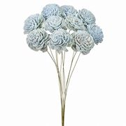 【2026年SS新作】ドライフラワー　ソーラーローズ小　フロストBL10本入FD032081-134