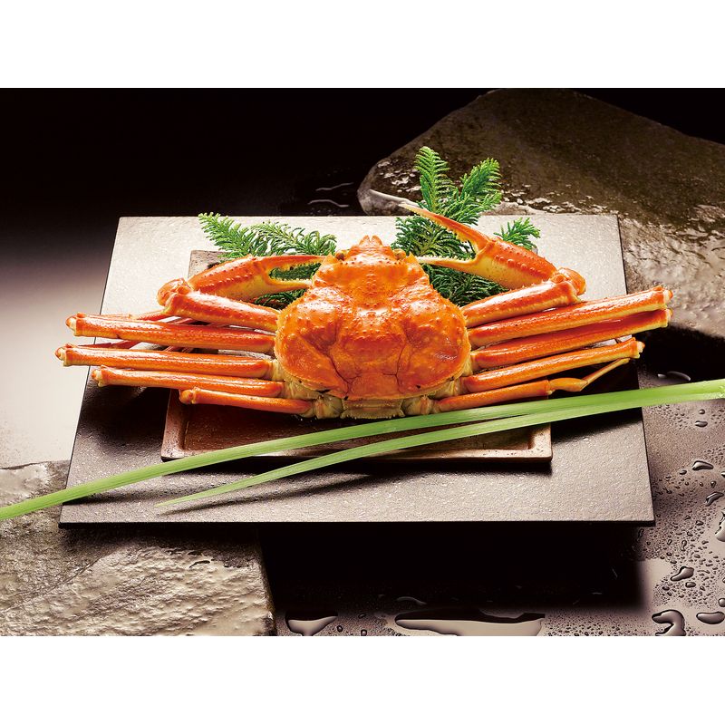 ボイルずわいがに姿 450g×1尾 ZHB451N【直送品】［送料無料］