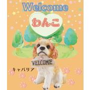 Welcome わんこ　キャバリア　WJ-9797