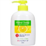 第一石鹸薬用ハンドソープ本体