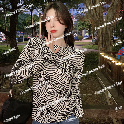 Tシャツ　　　　レディース　　　　ファッション　　春夏　　長袖　韓国風