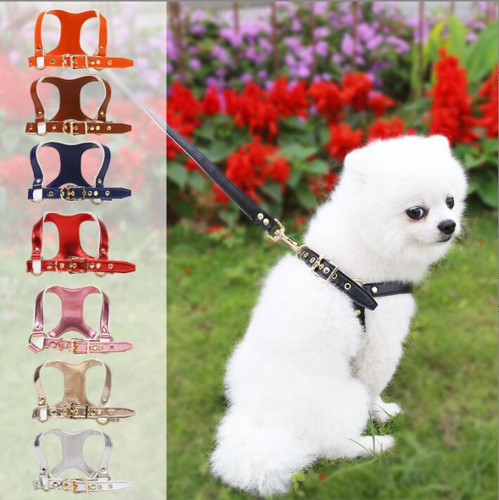 ペット用品　韓国風　トラクションロープ+ベスト2点セット，ペットリーシュ   可愛い 猫， 犬用